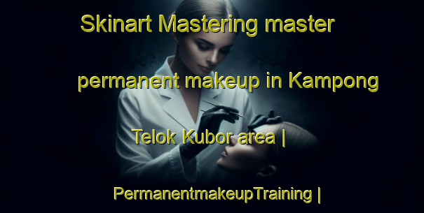 Skinart Mastering master permanent makeup in Kampong Telok Kubor area | PermanentmakeupTraining | PermanentmakeupClasses | SkinartTraining-Malaysia